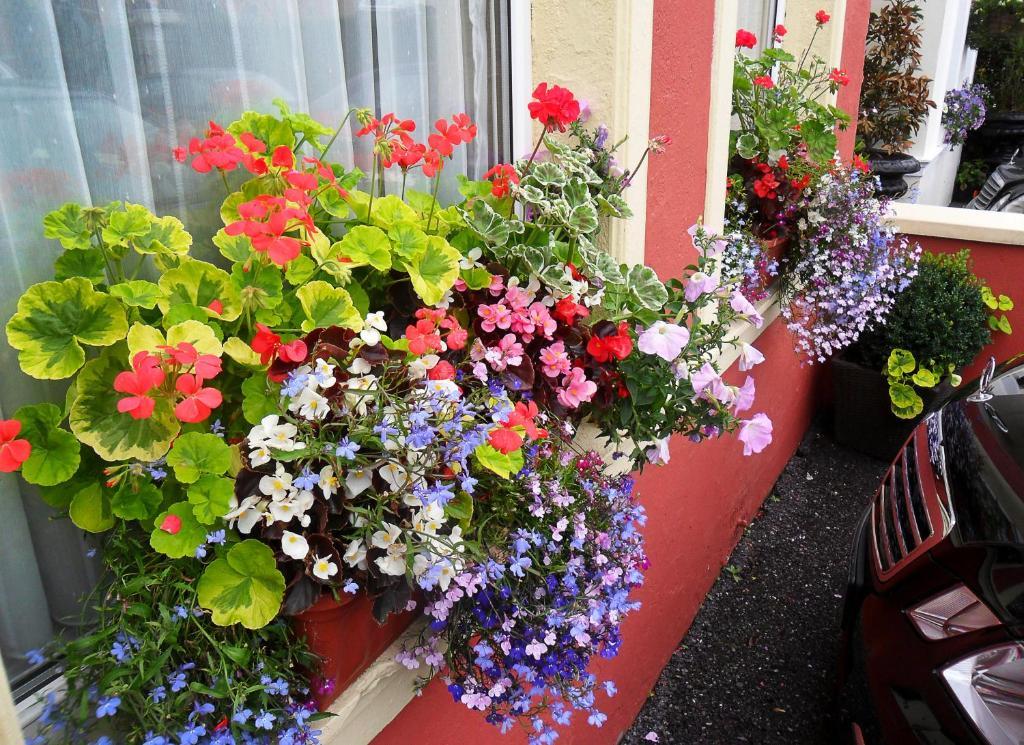 Achill House Hotel Cork Exterior foto
